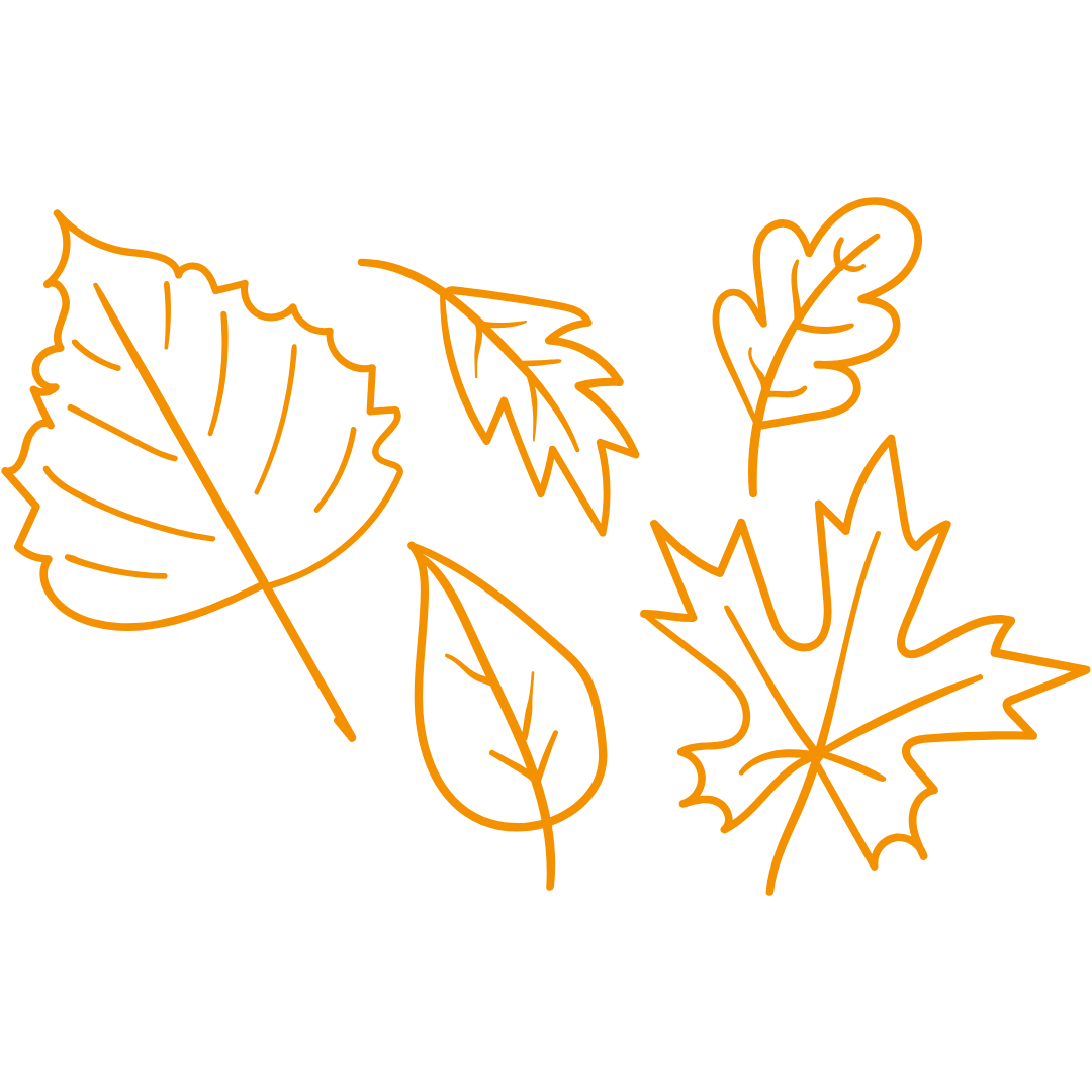 Oranges Icon fünf verschiedener Laubblätter.