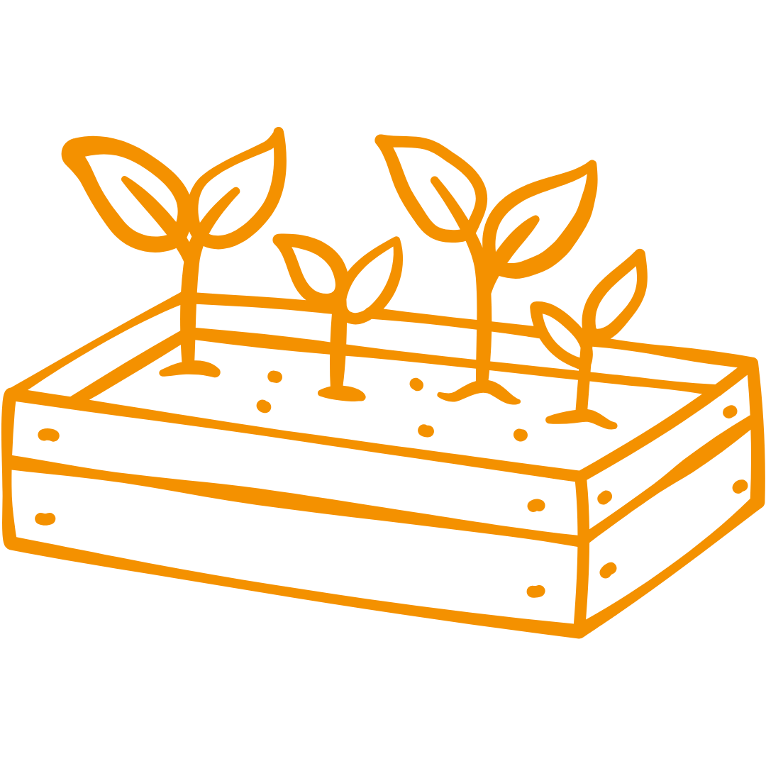 Oranges Icon von 4 Pflänzchen in einem Beet.